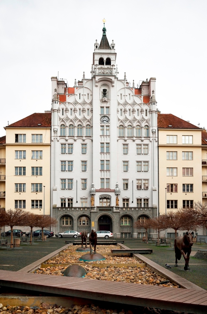 Kontakty Foto Titulní Praha Dejvice 2018